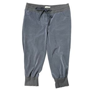 Elizabeth and James Size 4 Pant Gray Cropped Jogger Satin Shiny Mid Rise Tapered